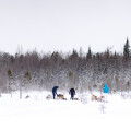 Link toDog sledding in Quebec's Chaudière-Appalaches region