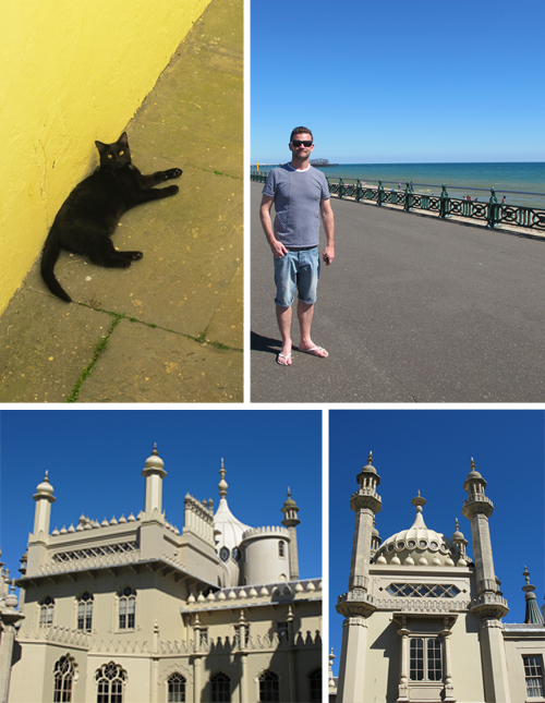 Brighton cat, Mr Bourne, strange looking Brighton castle