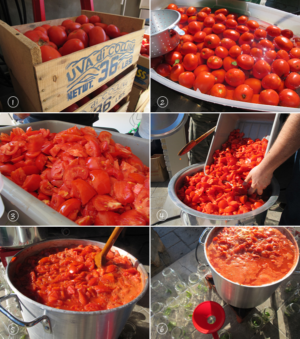 How to can tomatoes at home