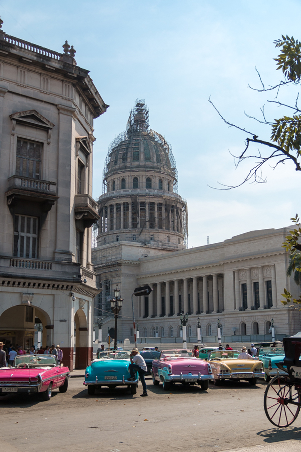 what to do havana capitolio © Will Travel for Food
