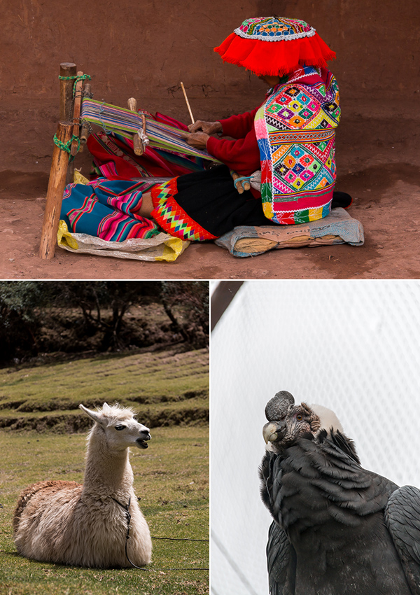 peru sacred valley sanctuary © Will Travel for Food