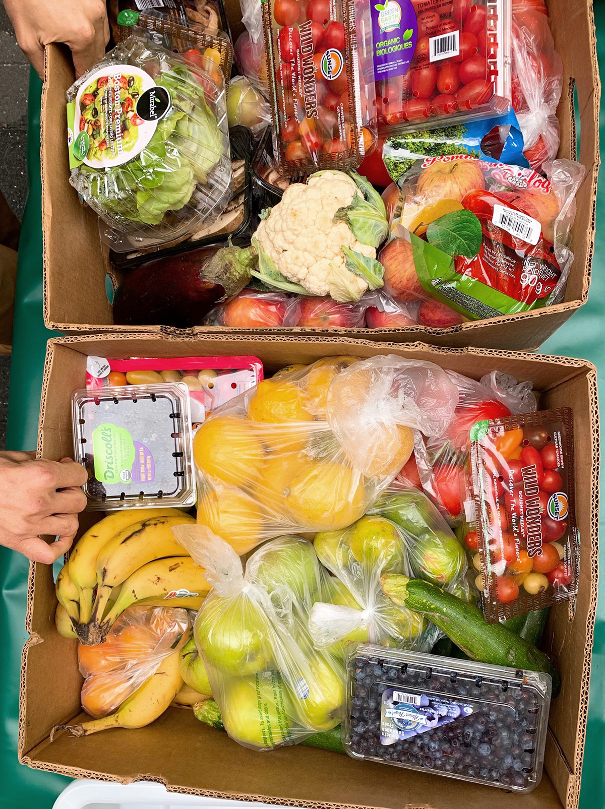 fighting food waste in Montreal | Will Travel for Food