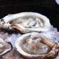 Link to15 spots to enjoy some of the best oysters in Montreal