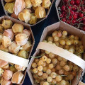 Link to19 photos that will make you fall in love with Montreal's Jean-Talon Market