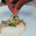 Link toRECAP OF THE SAISONS HARVEST DINNER WITH CHEF STELIO PEROMBELON