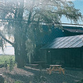 Link toBika Farm & Cuisine: chef Fisun Ercan's farm to table dream comes true
