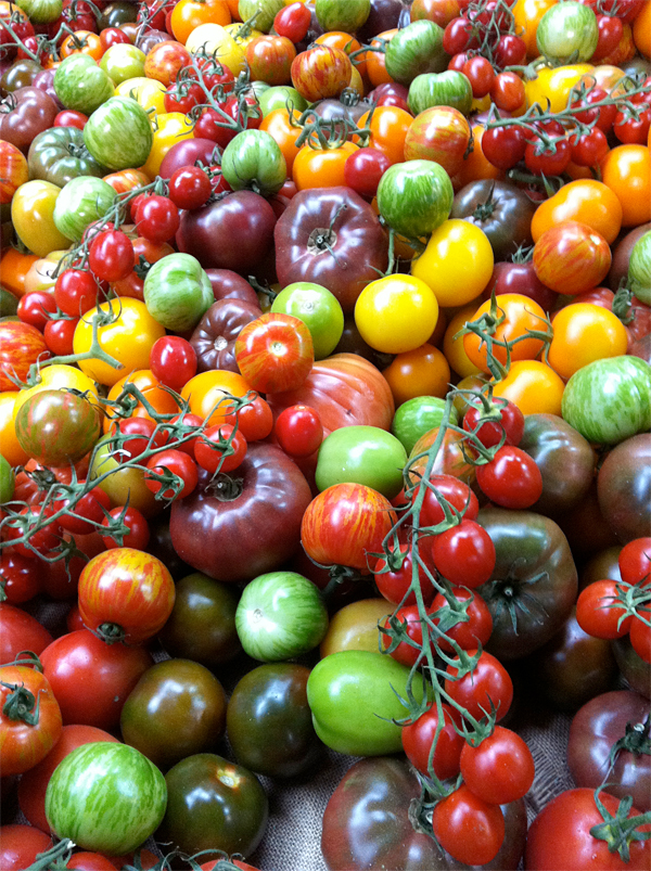 Heirloom tomatoes at Borough Market in London © Will Travel for Food
