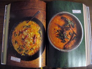 India: The Cookbook © Will Travel for Food