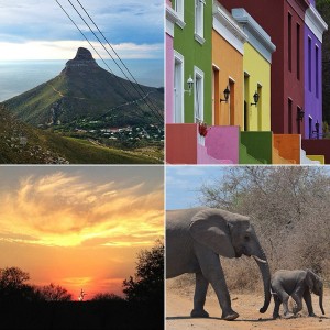 south africa © Will Travel for Food
