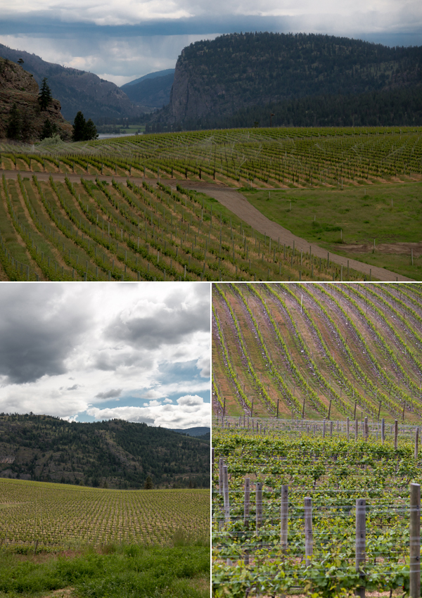 blue mountain winery okanagan valley british columbia © Will Travel for Food