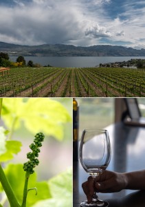 okanagan valley wineries © Will Travel for Food