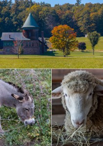 shelburne farms what to do vermont © Will Travel for Food
