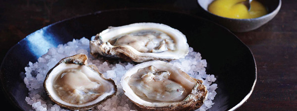 montreal best oysters photo © Lucille's Oyster Dive