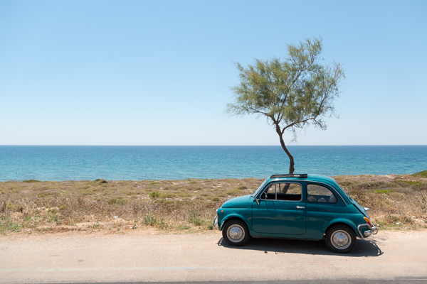 puglia italy road trip © Will Travel for Food