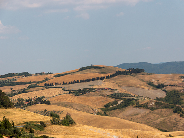 guide to tuscany © Will Travel for Food