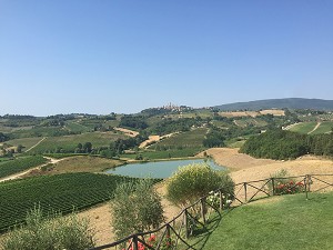 san gimignano guide © Will Travel for Food