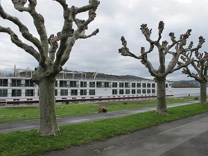 river cruises rhine cruise germany © Will Travel for Food