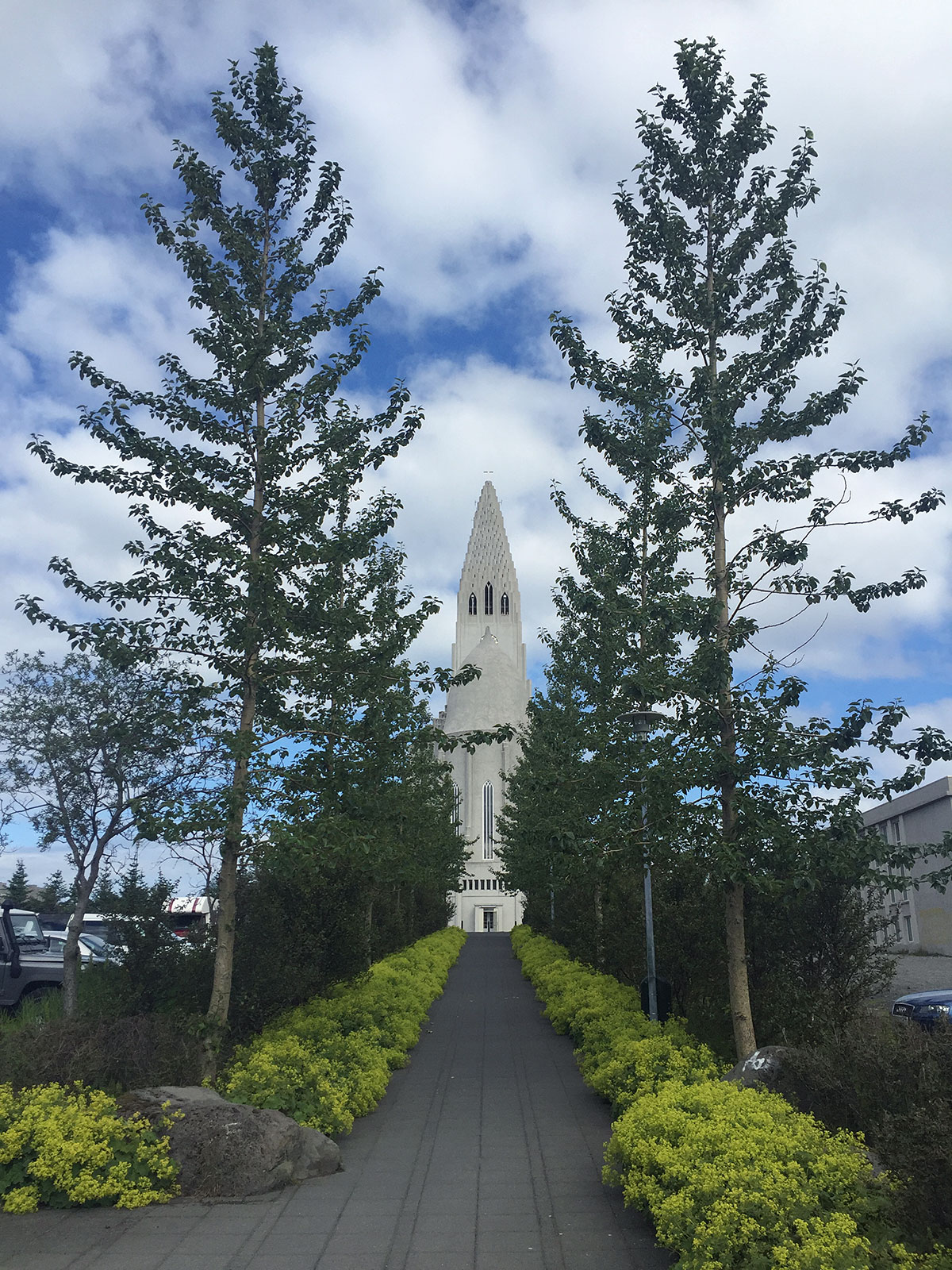 what-to-do-reykjavik © Will Travel for Food