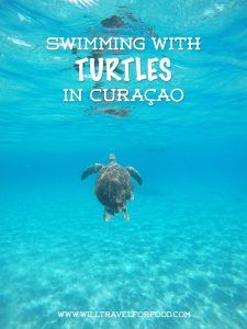 swimming-with-turtles-curacao © Will Travel for Food