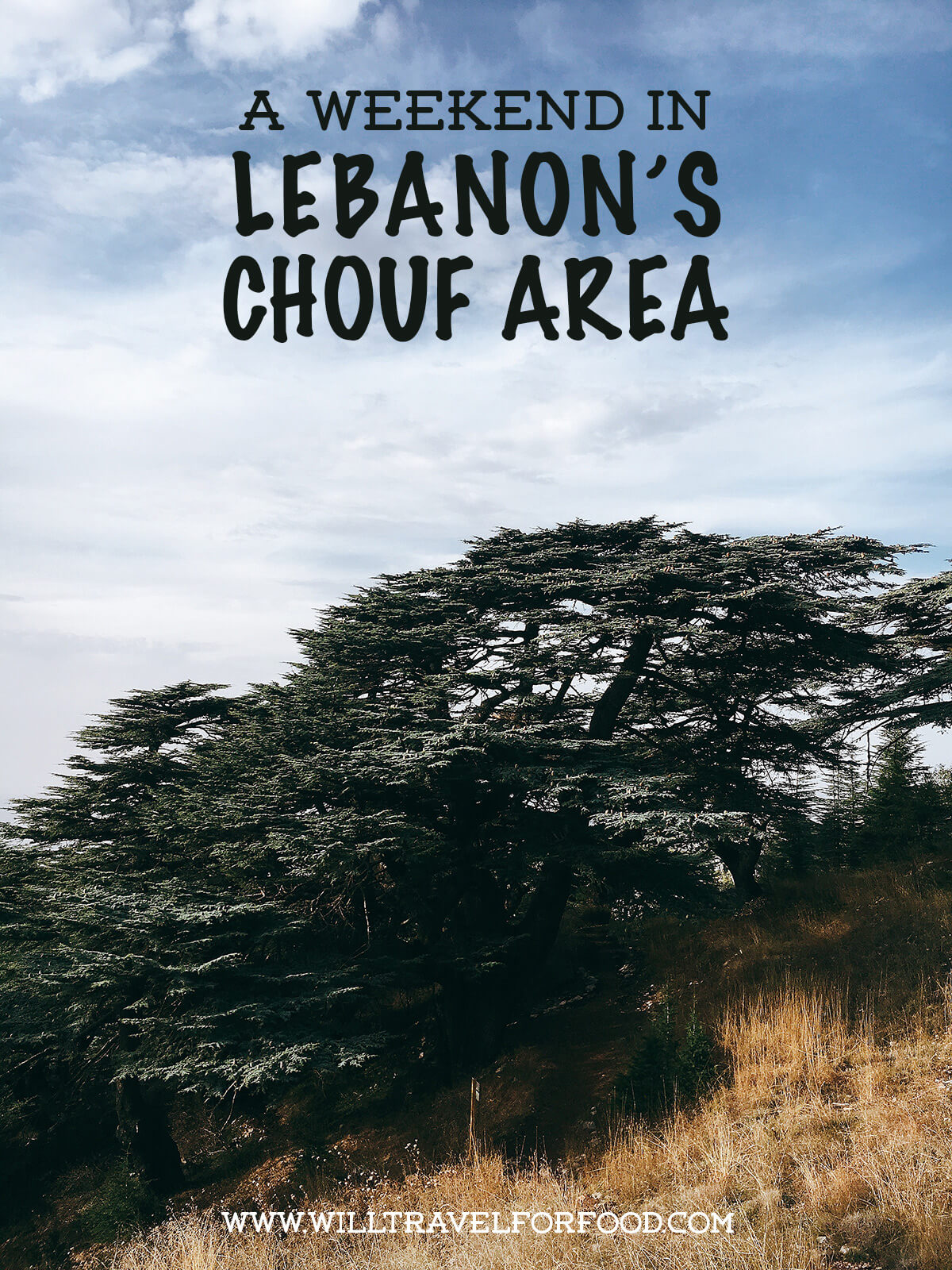 Barouk cedar reserve in Lebanon