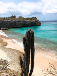 playa jeremi best beach curaçao © Will Travel for Food